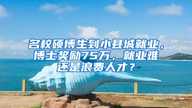 名校碩博生到小縣城就業(yè)，博士獎勵75萬，就業(yè)難還是浪費人才？